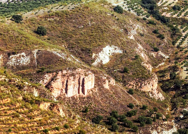 Foreste Della Città Spagnola Granada Con Vista Sulla Città — Foto Stock