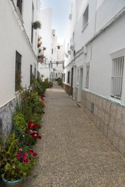 İspanya 'nın güneyindeki Cadiz' de Conil de La Frontera Caddesi 'nde saksılar var..