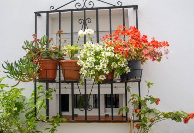 İspanya 'nın güneyindeki Cadiz' de Conil de La Frontera Caddesi 'nde saksılar var..