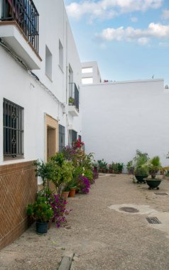 İspanya 'nın güneyindeki Cadiz' de Conil de La Frontera Caddesi 'nde saksılar var..