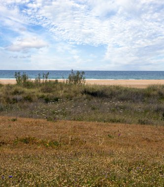 İspanya 'nın güneyindeki Conil de la Frontera sahillerinde bulutlu bir günde kumsal