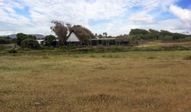 Baharda İspanya 'nın güneyinde Conil de La Frontera' nın çayırları. Çiçekleri ve kum tepeciklerini görebilirsin.