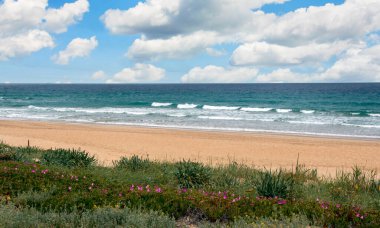 Coast in Conil de la Frontera in the south of Spain with beach in a cloudy day clipart