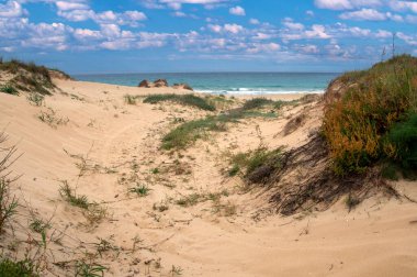 Coast in Conil de la Frontera in the south of Spain with beach in a cloudy day clipart