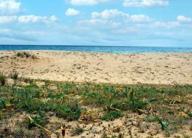 İspanya 'nın güneyindeki Conil de la Frontera sahillerinde bulutlu bir günde kumsal