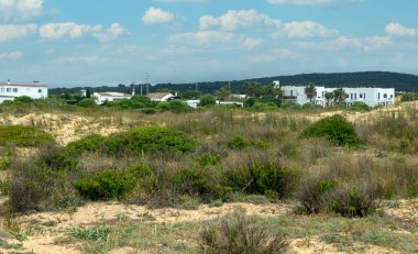 Baharda İspanya 'nın güneyinde Conil de La Frontera' nın çayırları. Çiçekleri ve kum tepeciklerini görebilirsin.