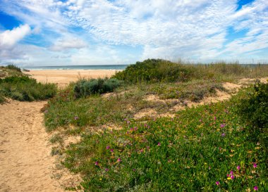 İspanya 'nın güneyindeki Conil de la Frontera sahillerinde bulutlu bir günde kumsal