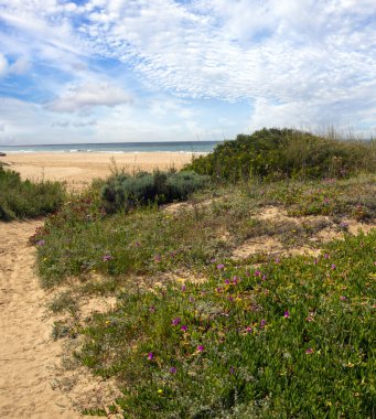 İspanya 'nın güneyindeki Conil de la Frontera sahillerinde bulutlu bir günde kumsal