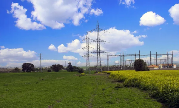 Campos Jerez Frontera Sur España Día Soleado —  Fotos de Stock