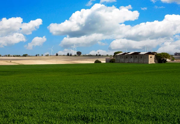 Campos Jerez Frontera Sur España Día Soleado —  Fotos de Stock