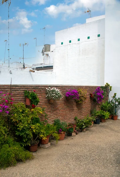 Street Conil Frontera Cadiz South Spain Flower Pots — Stock Photo, Image