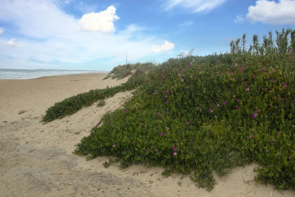 Tengerpart Conil Frontera Dél Spanyolországban Strand Egy Felhős Nap — Stock Fotó