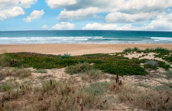 スペイン南部のConil Fronteraの海岸で 曇りの日にビーチがあります — ストック写真