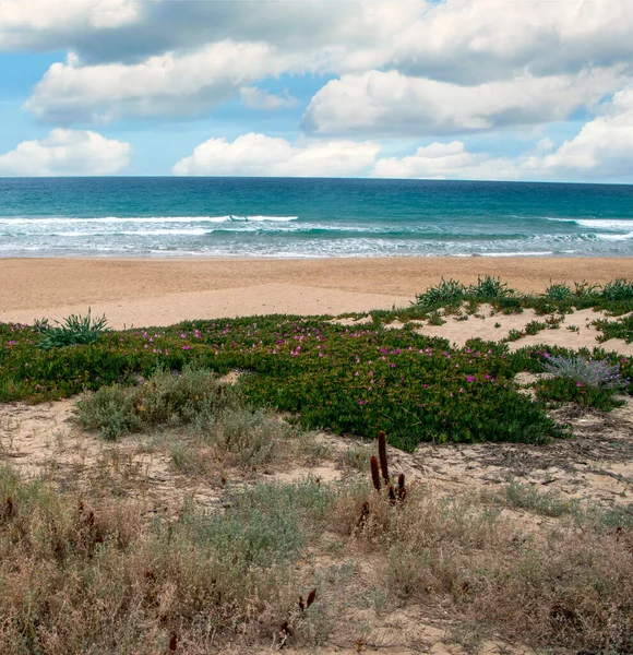 Wybrzeże Conil Frontera Południu Hiszpanii Plażą Pochmurny Dzień — Zdjęcie stockowe