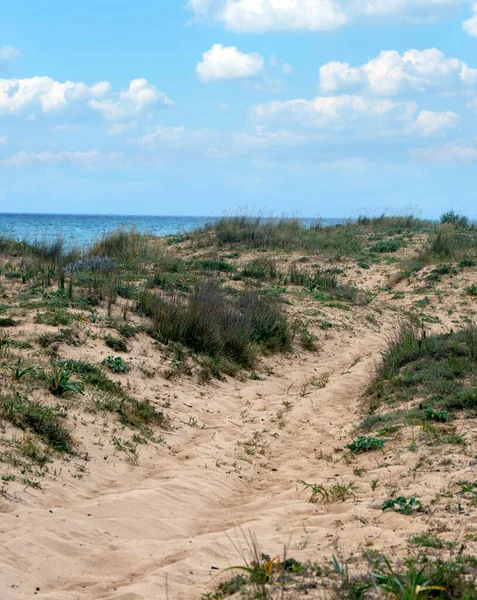 Spanya Nın Güneyindeki Conil Frontera Sahillerinde Bulutlu Bir Günde Kumsal — Stok fotoğraf