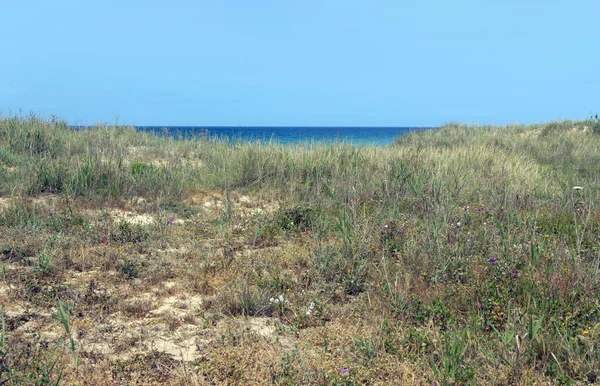 Побережье Конил Фронтера Юге Испании Пляжем Облачный День — стоковое фото