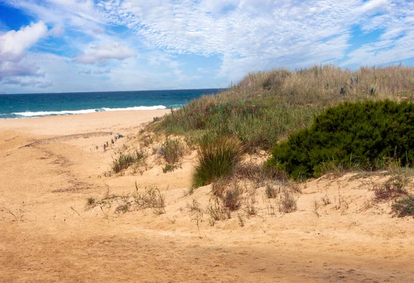 Kust Conil Frontera Södra Spanien Med Strand Mulen Dag — Stockfoto