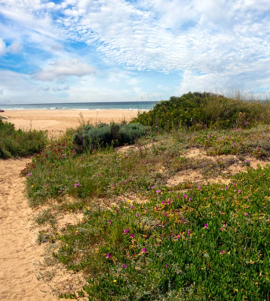 Costa Conil Frontera Sur España Con Playa Día Nublado — Foto de Stock