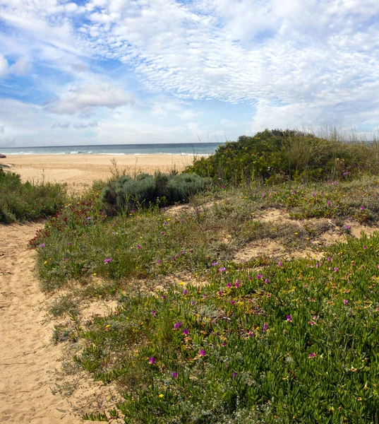 İspanya 'nın güneyindeki Conil de la Frontera sahillerinde bulutlu bir günde kumsal