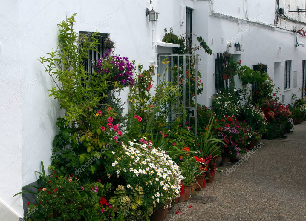 Street of Conil de La Frontera in Cadiz in the south of Spain with flower pots.