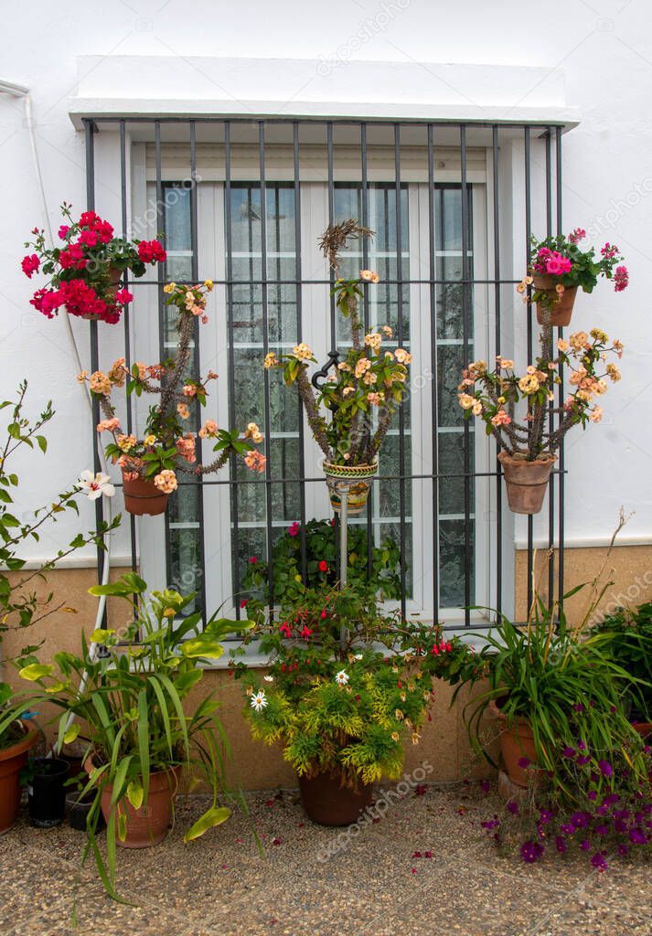 Street of Conil de La Frontera in Cadiz in the south of Spain with flower pots.