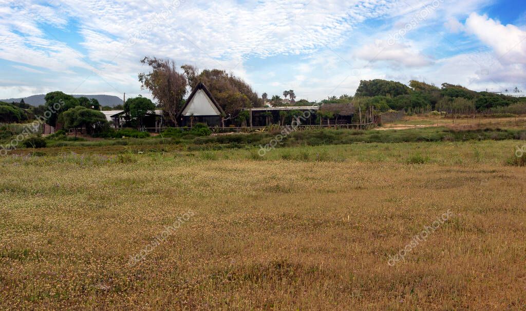 Meadows of Conil de La Frontera in the south of Spain in springtime. You can see flowers and sand of dunes