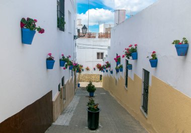 İspanya 'nın güneyindeki Cadiz' de Conil de La Frontera Caddesi 'nde saksılar var..