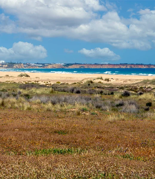 Берег Коніл Фронтера Півдні Іспанії Пляжем Похмурий День — стокове фото