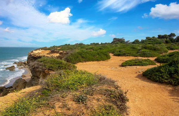 Costa Conil Frontera Sul Espanha Com Praia Dia Nublado — Fotografia de Stock