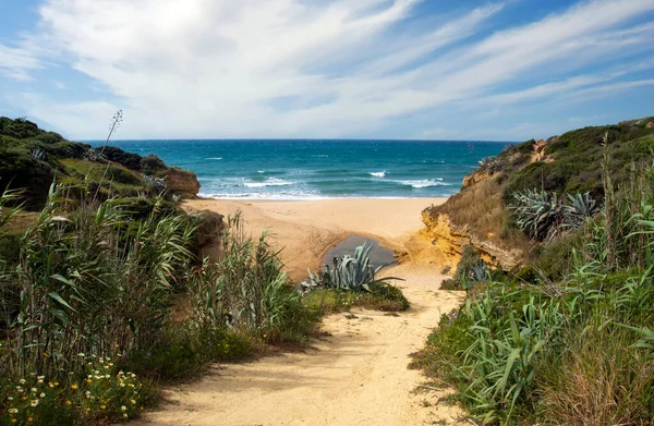 Küste Conil Frontera Süden Spaniens Mit Strand Einem Bewölkten Tag — Stockfoto