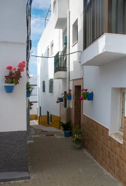 Straße Von Conil Frontera Cadiz Süden Spaniens Mit Blumentöpfen — Stockfoto