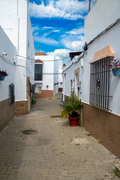 Rua Conil Frontera Cádiz Sul Espanha Com Vasos Flores — Fotografia de Stock