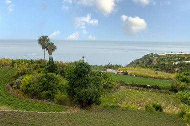 İspanya kıyılarındaki Endülüs tarımı bir bahar günü gökyüzünde bulutlarla