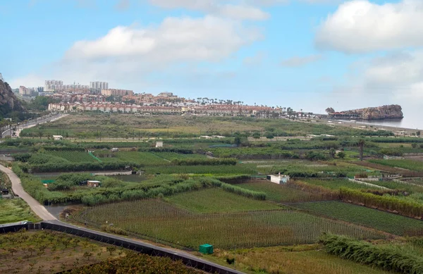 Stadt Granada Süden Spaniens Sie Können Die Weißen Häuser Einem — Stockfoto