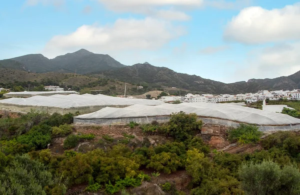 Andalusische Landbouw Aan Kust Van Sout Van Spanje Een Lentedag — Stockfoto