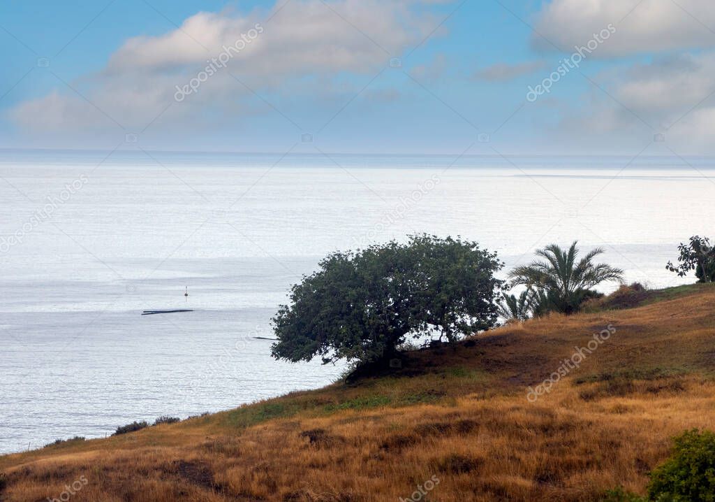Coast in the south of Andalusia with fields in a spring day