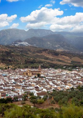 İspanya 'nın güneyinde Algodonales adında beyaz evler köyü. Dağlar ve ormanlarla çevrili..