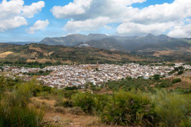 İspanya 'nın güneyinde Algodonales adında beyaz evler köyü. Dağlar ve ormanlarla çevrili..