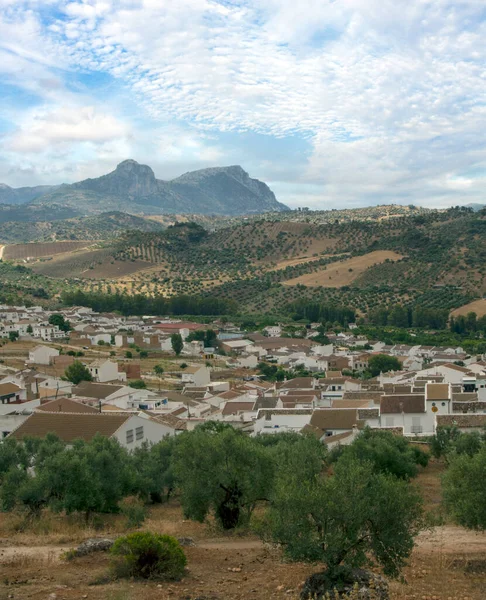 スペイン南部のアルゴドナレスと呼ばれる白い家の村 山と森に囲まれた — ストック写真