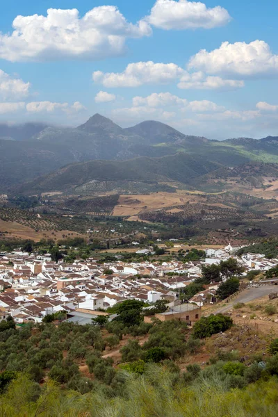 Pueblo Casas Blancas Llamado Algodonales Sur España Está Rodeado Montañas — Foto de Stock