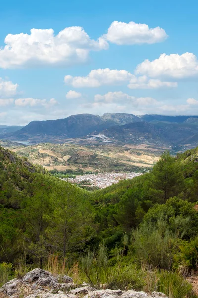 Dél Spanyolországi Algodonales Nevű Fehér Házak Faluja Hegyek Erdők Veszik — Stock Fotó