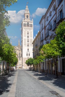 SEVILLA, İSPAN - Temmuz 2021. Güneşli bir günde İspanya 'nın güneyinde Sevilla caddesinde yürüyen bir turist..