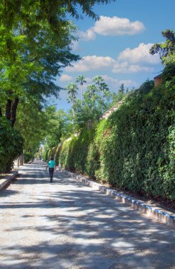 SEVILLA, İSPAN - Temmuz 2021. Güneşli bir günde İspanya 'nın güneyinde Sevilla caddesinde yürüyen bir turist..