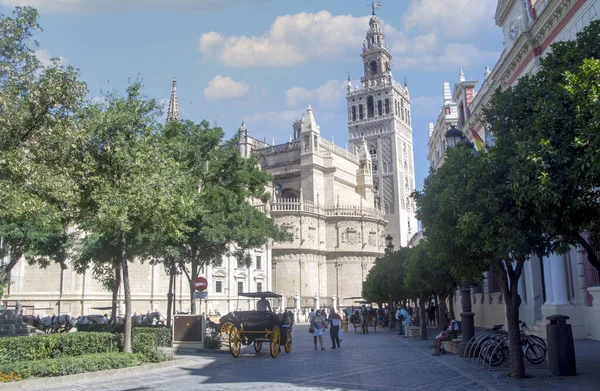 Sevilla Spain July 2021 Tourist Walking Street Sevilla Tue South — Stock Photo, Image