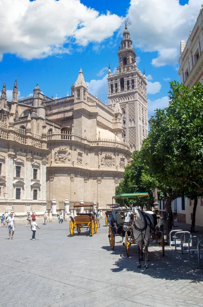 Sevilla Spanje Juli 2021 Toeristische Wandeling Straat Van Sevilla Het — Stockfoto