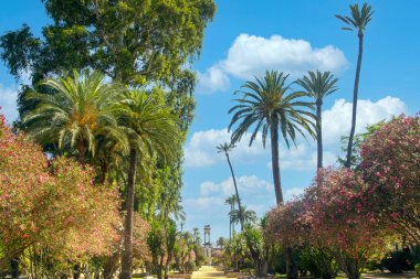 İspanya 'nın güneyindeki Sevilla Parkı güneşli bir günde