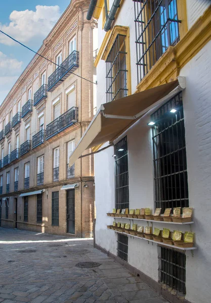 Antigua Ciudad Sevilla Día Soleado Con Ellos Casa — Foto de Stock