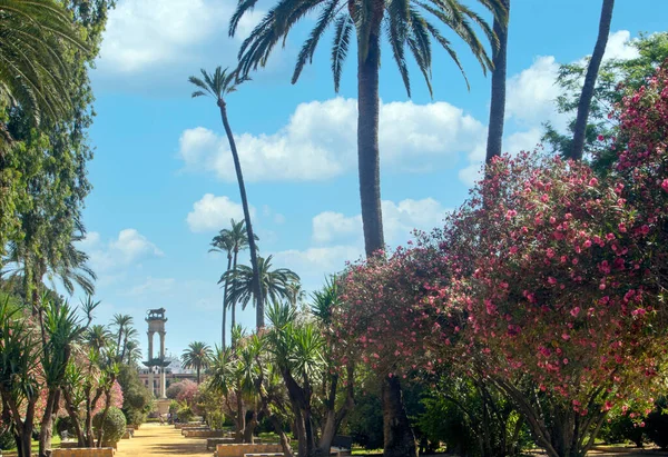 晴れた日にスペイン南部のセビリアの公園 — ストック写真