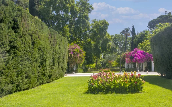 Spanya Nın Güneyindeki Sevilla Parkı Güneşli Bir Günde — Stok fotoğraf