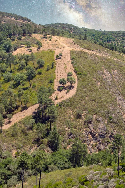 Skog Sierra Aracena Södra Spanien Solig Dag — Stockfoto